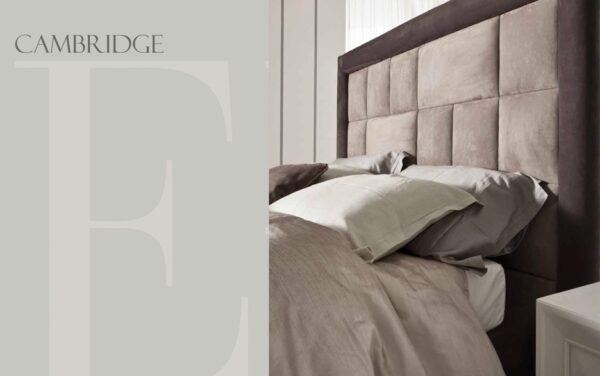 CAMBRIDGE STANDARD CAT. B